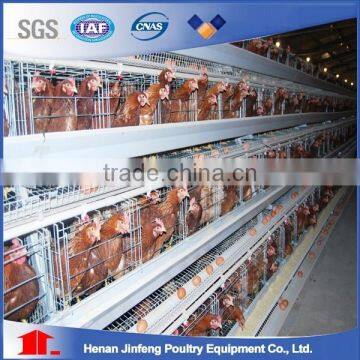 Automatic A types layer chicken cages for zimbabwe poultry farms