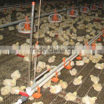 Whole Poultry Equipment for Broilers and Breeders