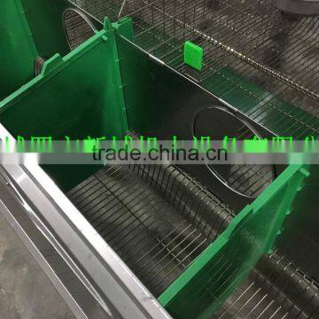 Cage For Sale (Female and Baby Rabbits/Commercial Rabbits)Rabbit Farming Cage, Industrial Cage for Rabbit ,Commercial Rabbit Cag photo-5