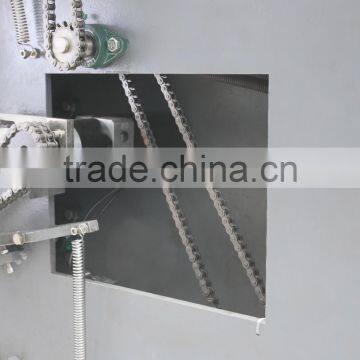 Asparagus Vegetable Packing Machine photo-4
