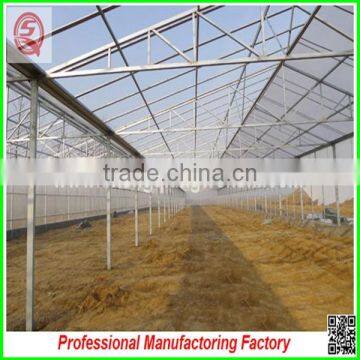 Top Quality Polycarbonate Board Agricultural Greenhouses With Muti Span photo-4