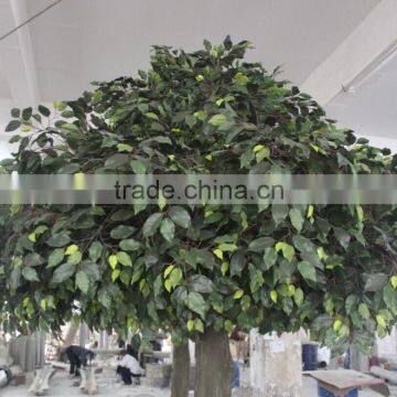 Hot Sale Artificial Ficus Tree in Factory Price photo-3