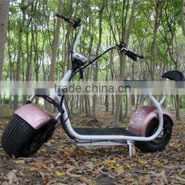 2017 Zhejiang factory newly citycoco with double suspension&Disc brakes&LCD display electric bike 48V