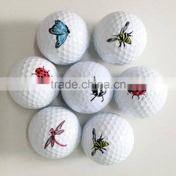2016 Most Welcomed Customized Golf Ball, Cheap and Fine Golf Ball photo-3