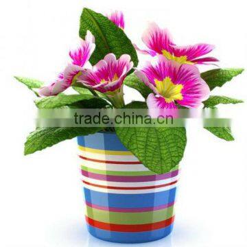 mini indoor ceramic stripe flower pot