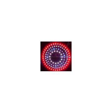 Long Lifespan 40000 Hours Auto White LED Angel Eye Rings