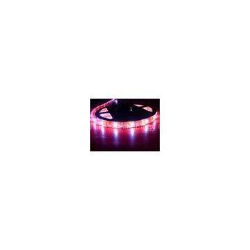 Waterproof SMD LED Strip Light--Enveloped by epoxy resin mini-tube,IP66