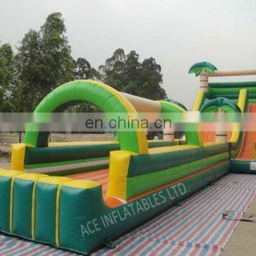 Inflatable Water slides