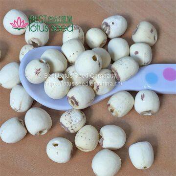 Lotus Seed Lotus Nut Lotus Kernel Dried Handmade White Lotus Seed Without Core Plumule