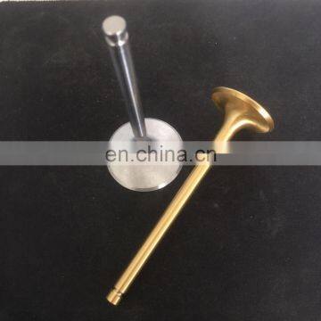 Malaysia High Quality Engine Valve for Mitsubishi Proton Waja 1.6 1.8 Wira 1.6 v6 1.8 2.0D 12V Intake Valve Exhaust Valve photo-6