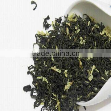 China popular fresh jasmine green tea all kinds of good jasmine green tea