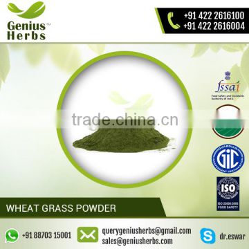 Hot Sale of Organic Green Wheat Grass Powder from Certified Supplier