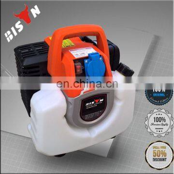 BS1000I BISON China Taizhou Portable with Handle 1kw 1kva Digital 110v 220v Inverter Gasoline Generator with Factory Price