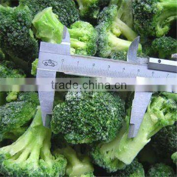 iqf frozen fresh broccoli