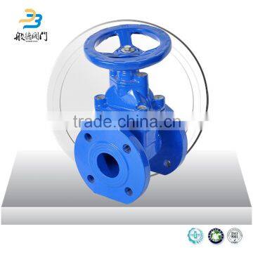 2016 China Supplier High Quality Manual Soft Seal Cast Steel Gate Valve photo-4