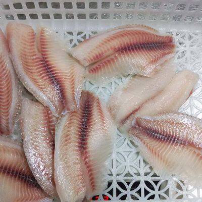 Frozen Tilapia Fillet Non CO Treated photo-3