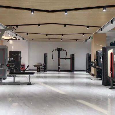 Good Price Professional Fitness Equipment Torso Rotation Twisting Waist Machine photo-5