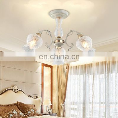 HUAYI New Product Modern Style Dining Room Decoration Iron Glass LED Surface Ceiling Light