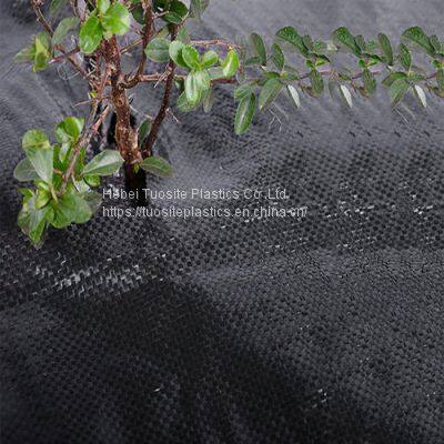 Shielding Car Sun Internao Silver Foil Sun Shade Net Mesh For Green House