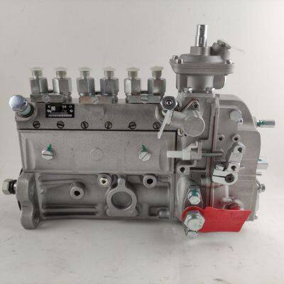 Construction Machinery Truck 6BT5.9 6CT8.3 Diesel Engine Parts Fuel Injection Pump 3930158