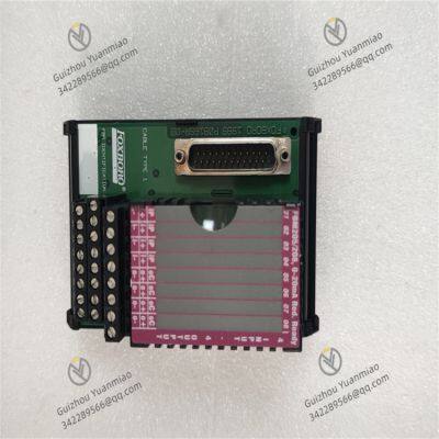 FOXBORO P0916AJ | I/O-Schnittstellenmodul