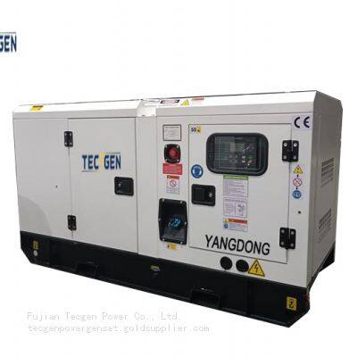 Silent Type Diesel Generator 40kW / 50kVA Yandgong Diesel Genset for Rental