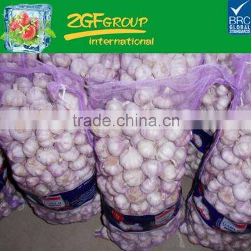 Pure white garlic