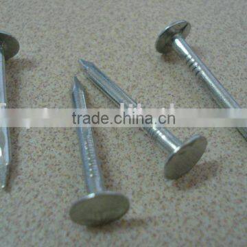 galvanized coated broad head nails