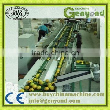 dragon fruit grading machine