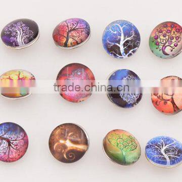 Frozen Metal and Plastic Snaps Button, Kawaii Snap Button