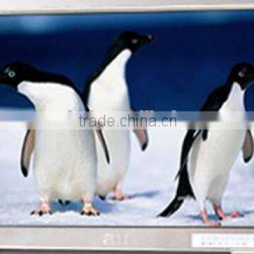 Price 5 Inch Lcd Monitor for Car Monitor photo-3