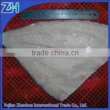 frozen brama fillet fish