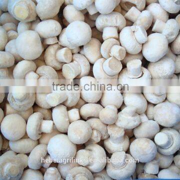 IQF style Chinese fresh champignon