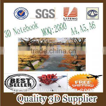 Guangzhou lifeng Eco-friendly customs 3d notebook