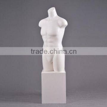 muscle half body male manikin