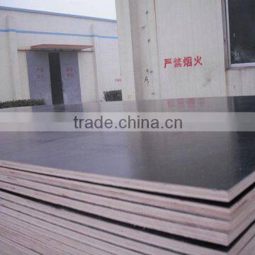 AAA grade poplar core building construction plywood marine plywood