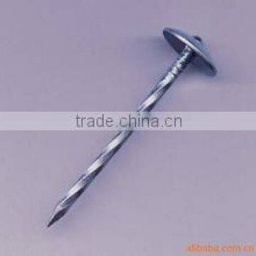 big head umbrella roofing nails