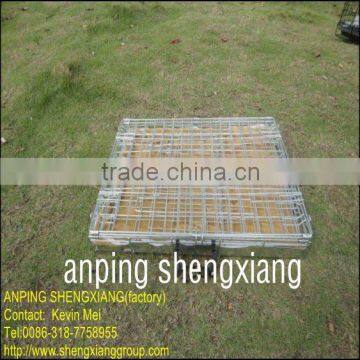 galvanized or pvc coated welded Pet Cage (factory)ISO14001