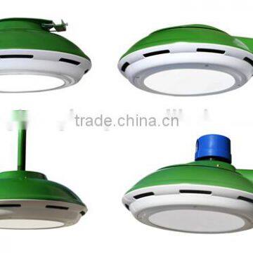 Holly Lite Newly Designed Led Pendant Light With DLC