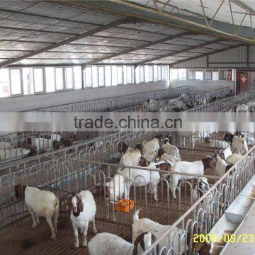 Prefabricated Steel Structure Warehouse With ISO9001 Certify photo-5