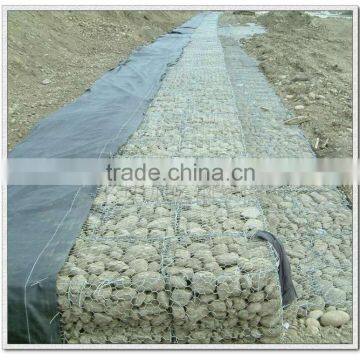 Professional factory offer the pvc coated /galvanized Gabion box for bridge protection