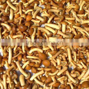 Chinese pickled nameko mushroom