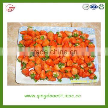 Fresh Strawberry for Sale From Jiangsu Province China photo-3