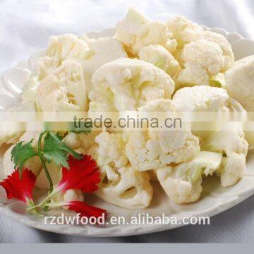 New crop IQF Frozen cauliflower-3-7cm