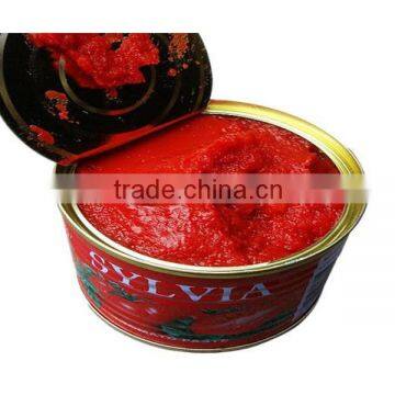 tomato paste 198g with easy open or normal open lid tomato paste brands