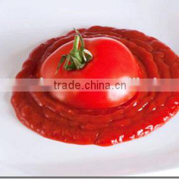 bulk tomato paste Tomato Sauce manufacturer from china