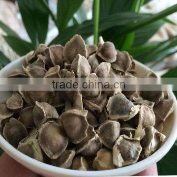 Food Grade Best Extract Moringa Seeds Prices photo-3