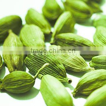 Cardamom