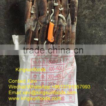 Wholesale Good Taste Illex Squid,200/300g