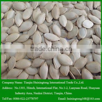 Shine skin Pumpkin Seeds: 9mm, 10mm, 11mm, 12mm